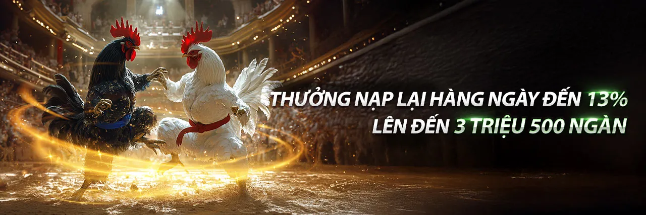 Đá Gà Thomo 26/5 - Sân đấu trực tiếp